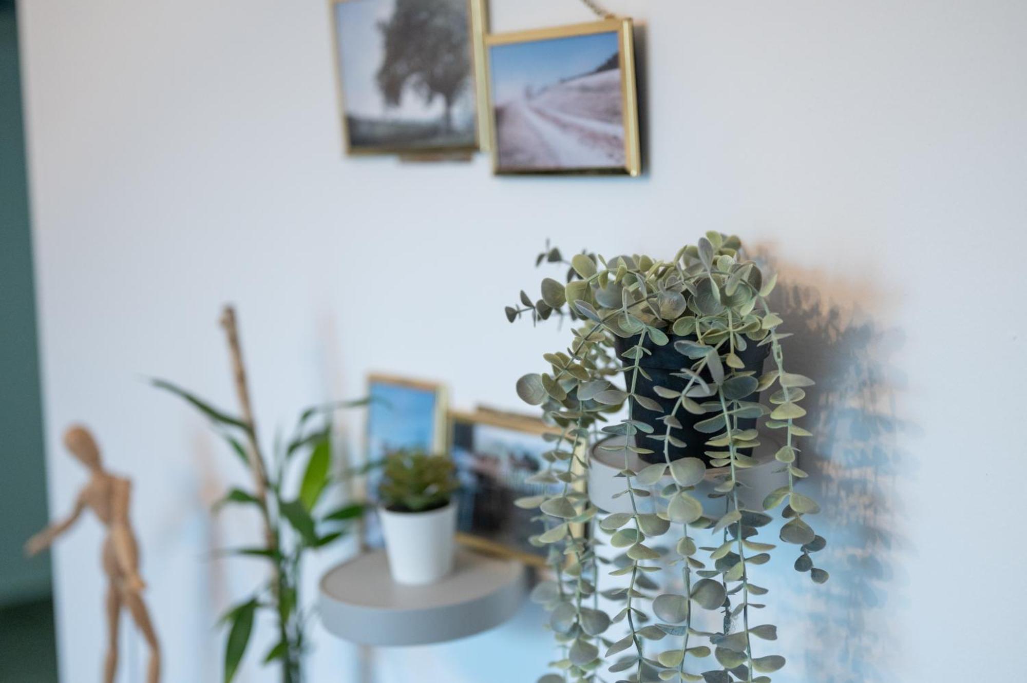 Apartament Bellagio Napa